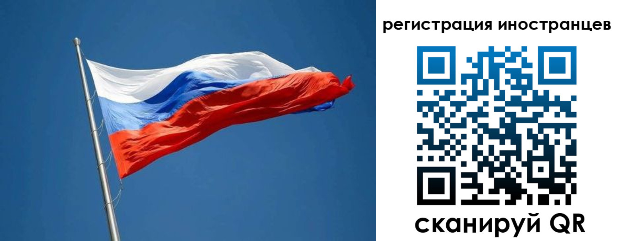 прописка в Сольцах