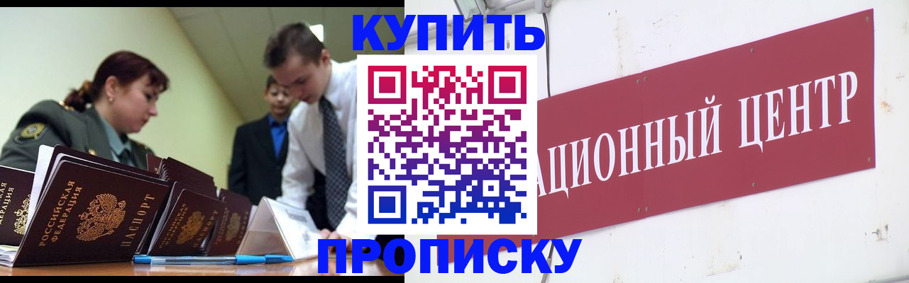 прописка поиск в Сольцах